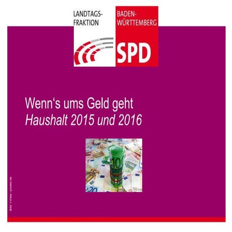 Haushalt 2015/16 - Ländlicher Raum und Verbraucherschutz 