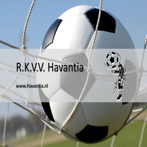 Havantia zo 8 mei 2011