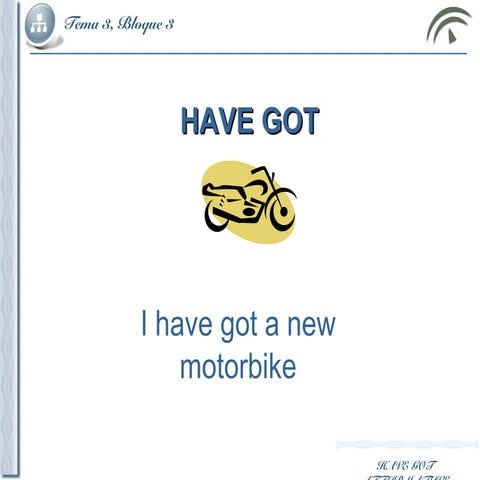 Have got affirmative