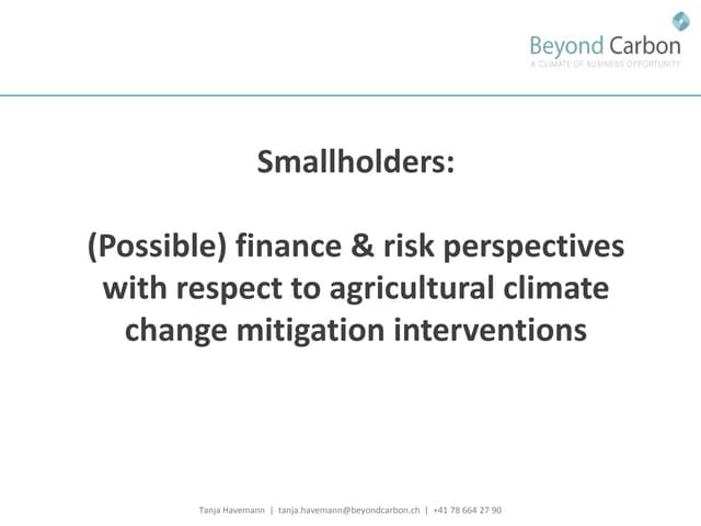 Havemann t financing options for smallholders and mitigation july 2011