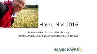 Havre-NM 2016