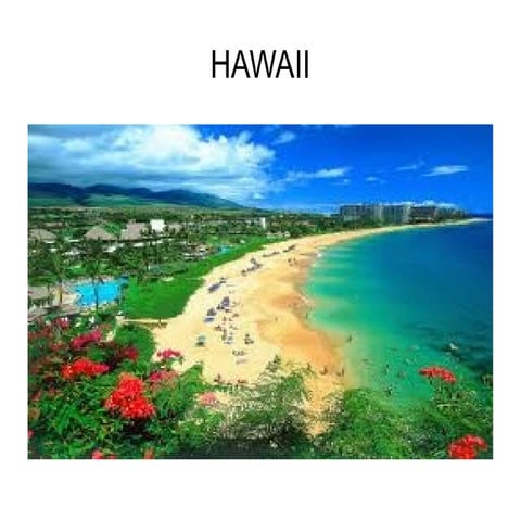 Hawaii Odp