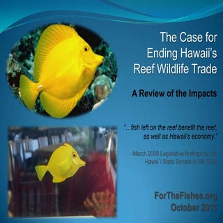 Hawaii aquarium trade impacts