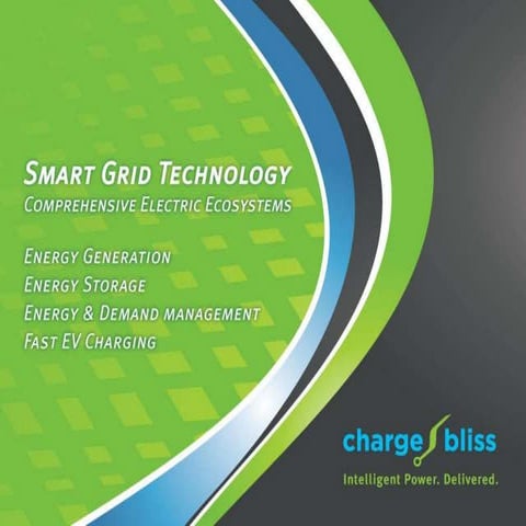 Charge Bliss Smart Panel 3000 | PDF