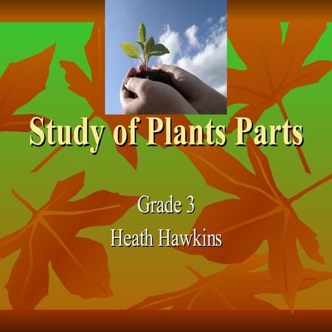 Hawkins Plants Parts