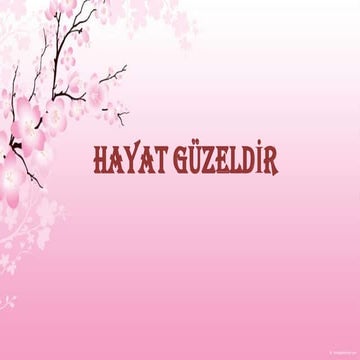 Hayat güzeldi̇r