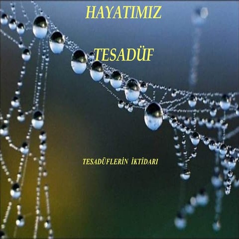 Hayatimiz TesadüF