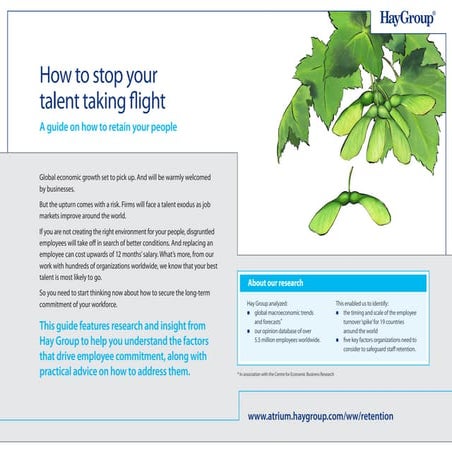 Hay group -_how_to_stop_your_talent_taking_flight_guide