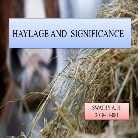 Haylage | PPTX