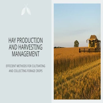 Hay making | PPTX