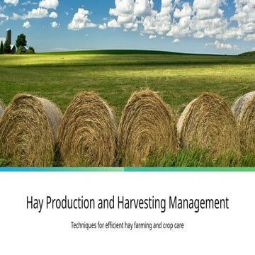 Comprehensive Guide to Efficient Hay Production and Harvesting ...