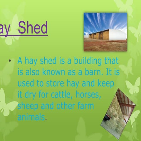 Hay  shed