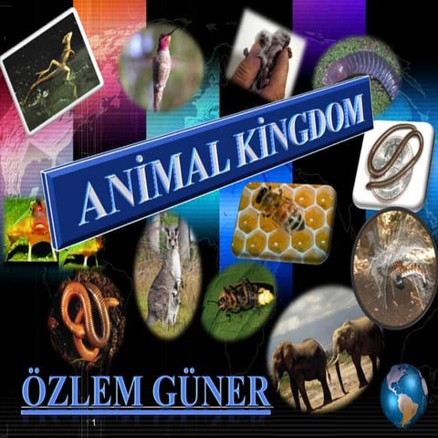 Hayvanlar alemi 2007 sunusu