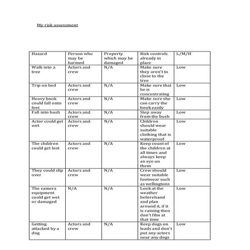 Risk assessment table | DOCX