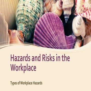 The 6 Categories of Workplace Hazards | PDF