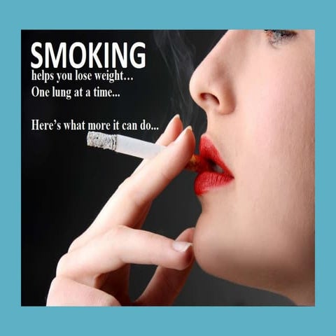 salem cigarettes where to buy Salem Cigarettes, Menthol, Box 20 Ea | Shop