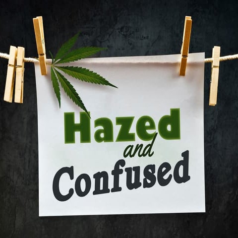 Medical Marijuana Ppt By Jody Lehrer Mpa