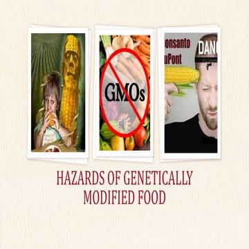 Hazrads of genetically modified foods | PPTX