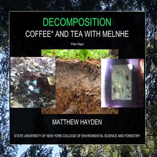 Hb2015 hayden-decomp