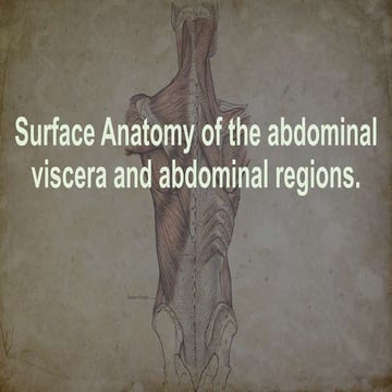 Surface Anatomy of the abdominal viscera and abdominal regions.