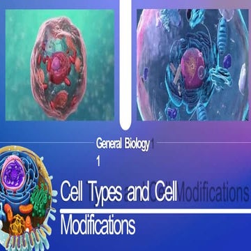 hierarchy of biological organization ppt