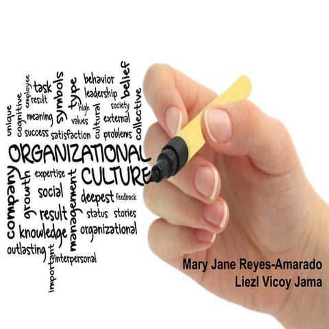 Human Behavior: Organizational Culture