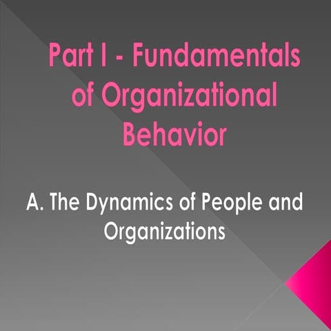 Fundamentals of Organizational Behavior