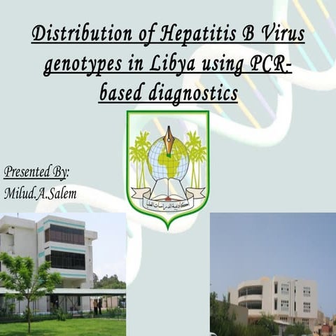 HBV DNA QUANTITATIVE PCR UG ELECTIVE POSTINGS.docx