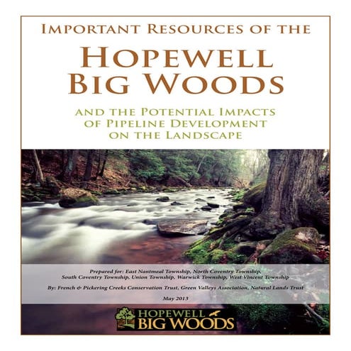 Potential Impacts of Pipeline Development on the Landscape of Hopewell Big Wo...