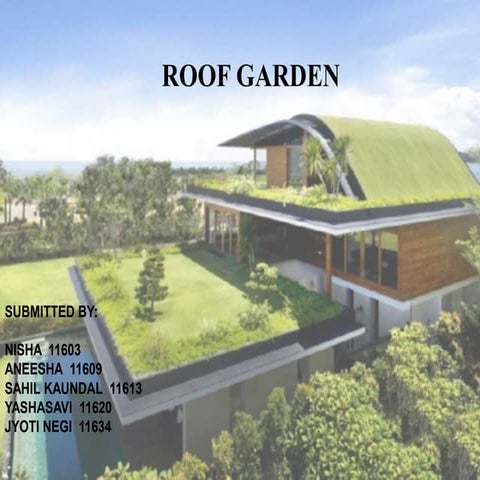 Roof Garden