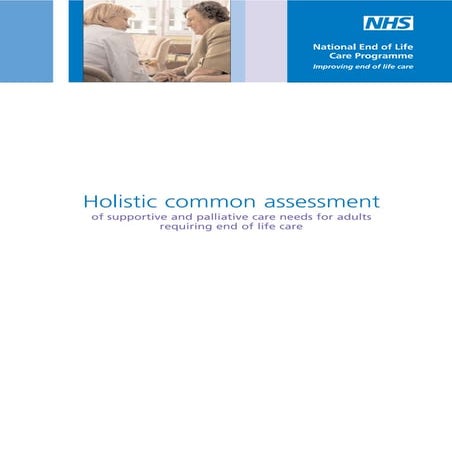 Support Sheet 16: Holistic Assessment | PDF
