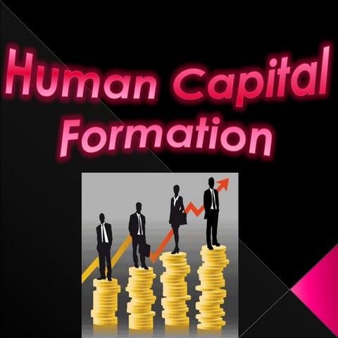Human Capital Formation