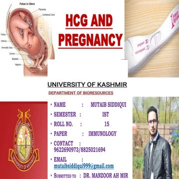 Hcg and pregnancy (15)