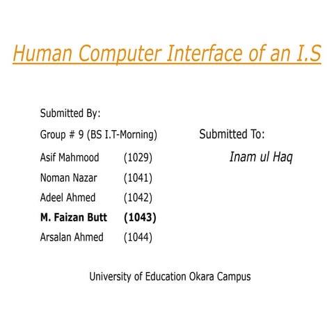 Human Computer Interaction of an Information System