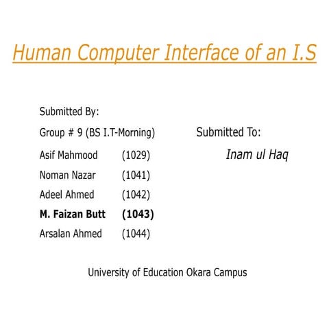 Human Computer Interaction of an Information System
