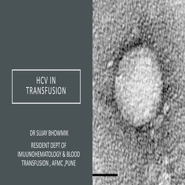 Hepatitis c virus in blood transfusion