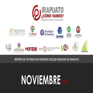 REPORTE DE VÍCTIMAS POR HOMICIDIO DOLOSO - NOVIEMBRE 2024.pdf