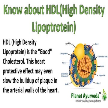 HDL - High Density Lipoptrotein | PPTX