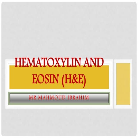 Hematoxylin and Eosin