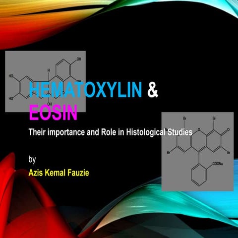 Haematoxylin and Eosin Staining in Ecotoxicology