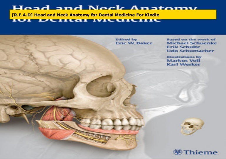 [R.E.A.D] Head and Neck Anatomy for Dental Medicine For Kindle