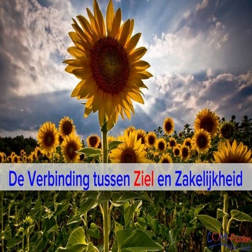 HEAD congres workshop "Ziel en Zakelijkheid" on the development of the functi...