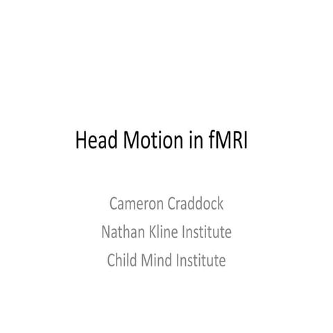 Head Motion in fMRI