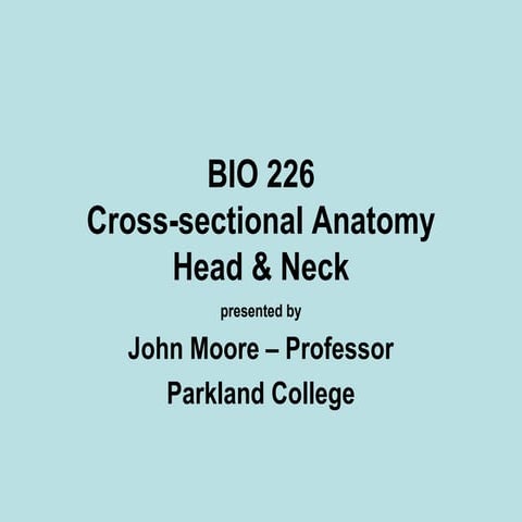 Head and Neck