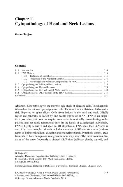 Head Neck Cancer Current Perspectives Advances And Challenges Pdf Head Neck Cancer Current Perspectives Advances And Challenges Pdf
