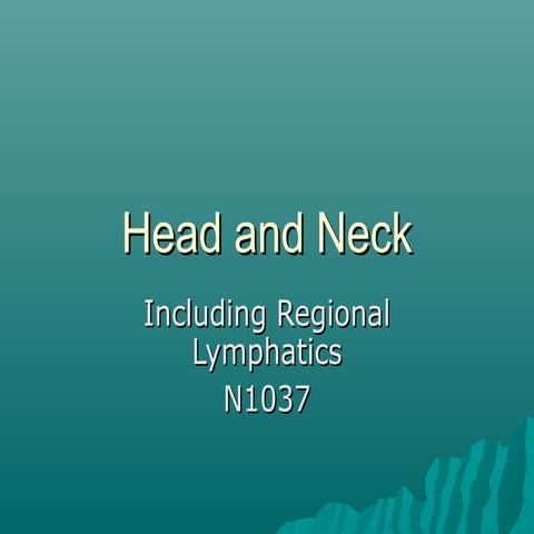 Head neck ppt