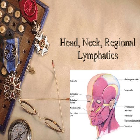NurseReview.Org - Head Neck Regional Lymphatics