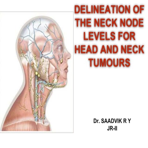 Neck Levels.. a presentation of the various Neck Levels | PPTX