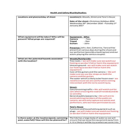 Healthandsafetyformbssa2 