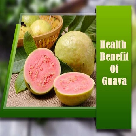 14 Amazing Health Benefits Of Guava | PPT